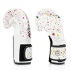 Fairtex BGV14 The Painter Unique Boxing Gloves on a white background