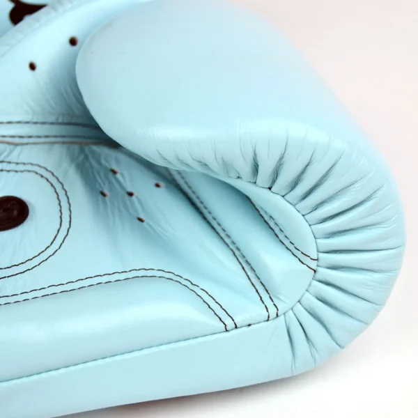 Fairtex Bgv20 Pastel Leather Boxing Gloves Light Blue 5 Pair of Fairtex BGV20 Pastel Leather Boxing Gloves