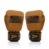 Fairtex BGV21 Legacy Boxing Gloves in full view