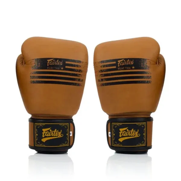 Fairtex BGV21 Legacy Boxing Gloves in full view