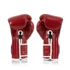 Pair of Fairtex BGV9 Mexican Style Boxing Gloves
