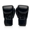 Fairtex Boxing Gloves BGV1 Universal