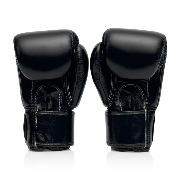 Fairtex Boxing Gloves BGV1 Universal