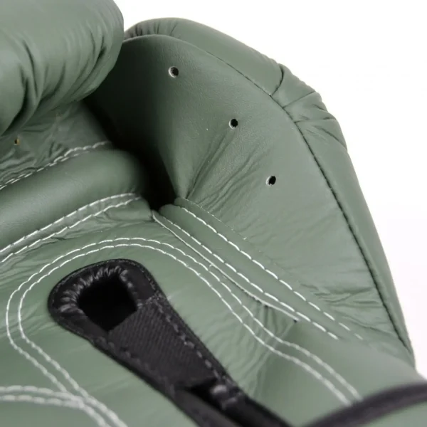 Fairtex Boxing Gloves Bgv11 F Day Green 8 Pair of Fairtex Boxing Gloves BGV11 F-Day