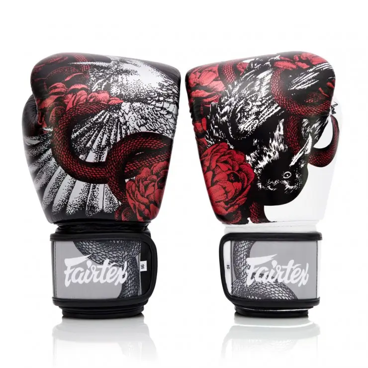 Fairtex Boxing Gloves BGV24 The Beauty Of Survival