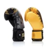 Fairtex Boxing Gloves BGV26 Harmony