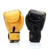 Pair of Fairtex Boxing Gloves BGV26 Harmony in blue shade