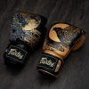 Pair of Fairtex Boxing Gloves BGV26 Harmony