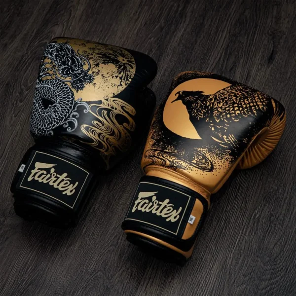 Pair of Fairtex Boxing Gloves BGV26 Harmony