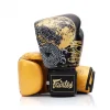 Pair of Fairtex Boxing Gloves BGV26 Harmony in action