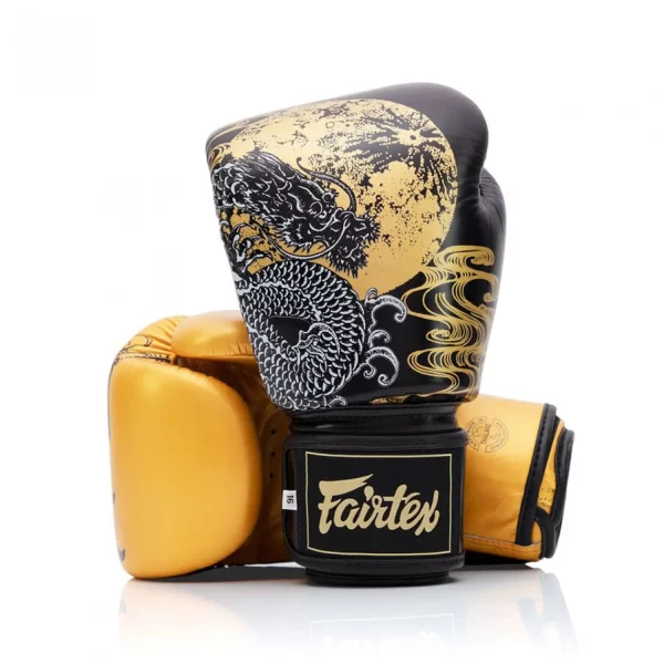 Pair of Fairtex Boxing Gloves BGV26 Harmony in action