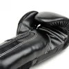 Pair of Fairtex Boxing Gloves Lightweight Microfibre BGV14