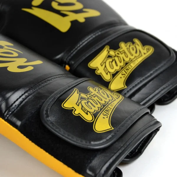 Pair of Fairtex Boxing Gloves Super Sparring BGV18 on a white background