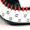 Fairtex KPLC2 Curved Standard Kick Pads - Black in Black — graphic close‑up