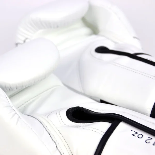 Fairtex X MTGP Boxing Gloves BGV in red and black color