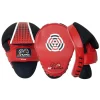 Pair of Rival RAPM Pro Punch Mitts