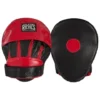 Cleto Reyes Focus Pads for boxing training