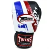 Twins Special Boxing Gloves FBGVL3-44 Country Edition