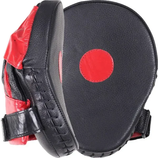 Cleto Reyes focus pads for boxing