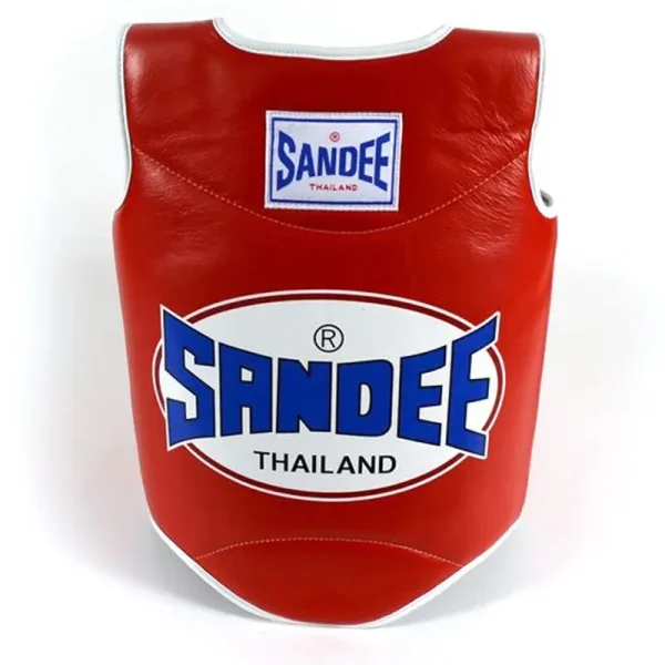 Child wearing Sandee Kids Authentic Body Shield