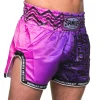 Sandee Muay Thai Shorts Warrior in vibrant colors