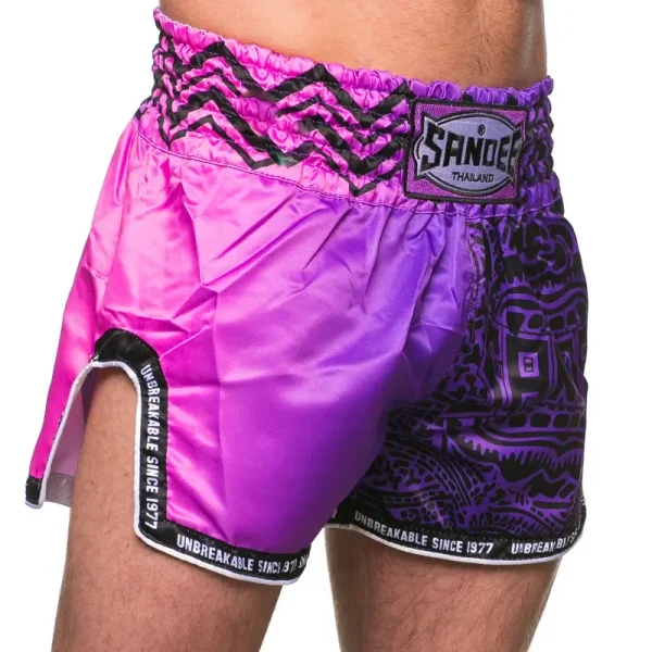 Sandee Muay Thai Shorts Warrior in vibrant colors