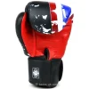 Twins Special Boxing Gloves FBGVL3-44 Country Edition