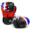 Twins Special Boxing Gloves FBGVL3-44 Country Edition