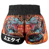 TUFF Retro Muay Thai Shorts in Seraphic Seiryu Samurai Saga design