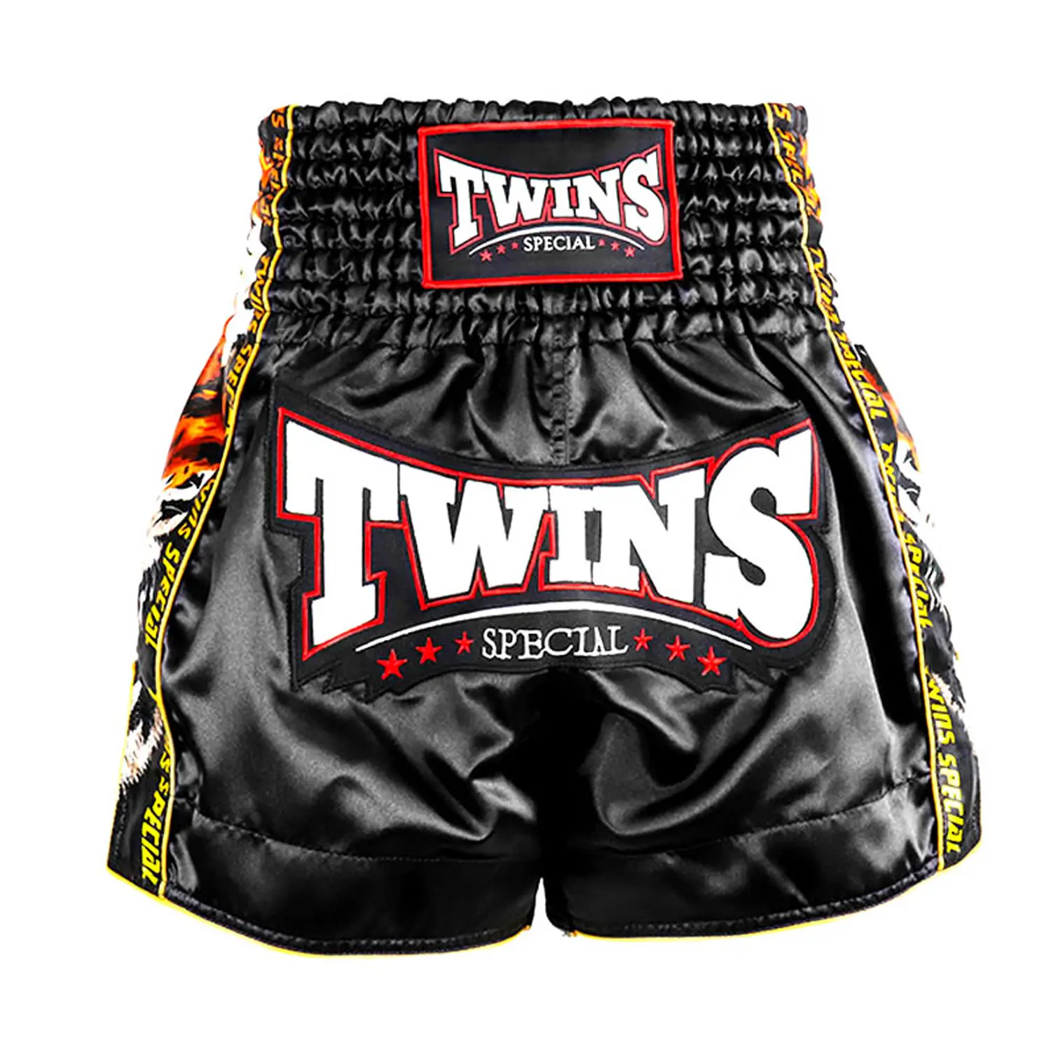 Twins Special Payak Muay Thai Shorts TBS60-PA