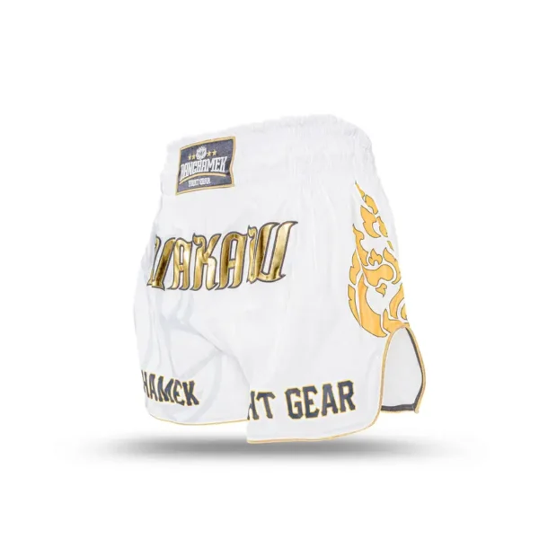 Buakaw Muay Thai Shorts BSH3