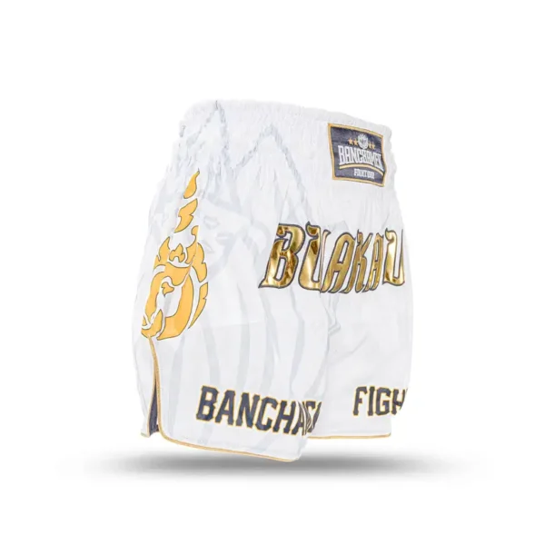Men wearing Buakaw Muay Thai Shorts BSH3