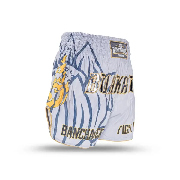 Buakaw Muay Thai Shorts BSH5 in vivid colors