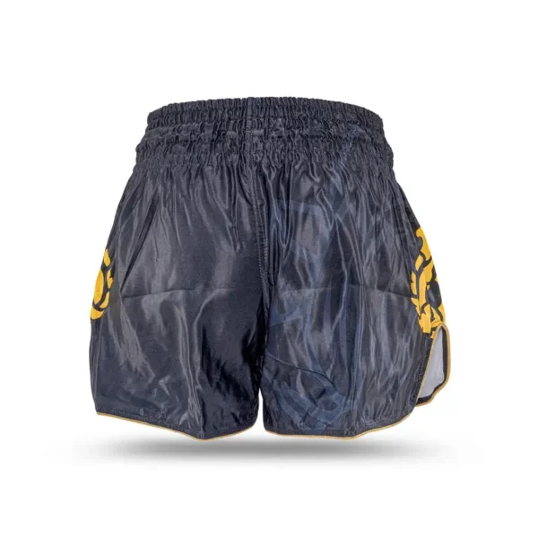 Buakaw Muay Thai Shorts BSH8 in striking vibrant colors