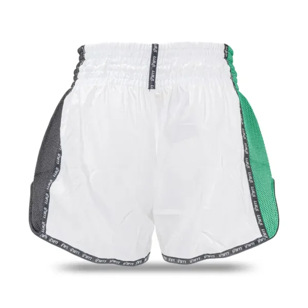 A pair of Buakaw Muay Thai Shorts BFGS-1 on a white background