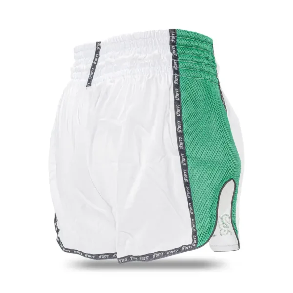 Buakaw Muay Thai Shorts BFGS-1 on white background