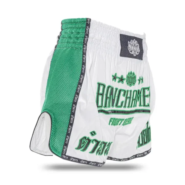 Man wearing Buakaw Muay Thai Shorts BFGS-1