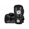 Pro-Box Leather Essentials Lace-Up Boxing Gloves in action