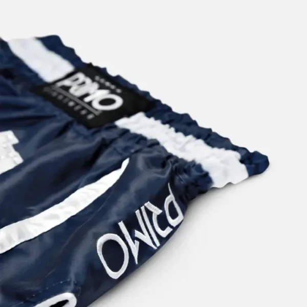 Primo Muay Thai shorts in azure dreams color