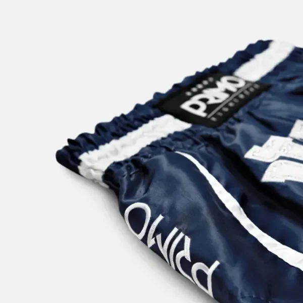 Primo Muay Thai Shorts in Azure Dreams pattern