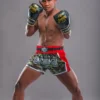 Buakaw Boxing Gloves BGL-UL1 on a white background