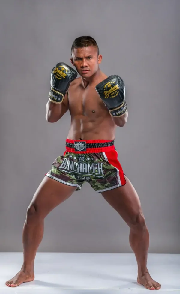 Buakaw Boxing Gloves BGL-UL1 on a white background