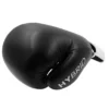 Adidas Hybrid 100 Boxing Gloves. Adidas Hybrid 100 Boxing Gloves in bold colors.