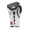 Adidas Cactus Speed Tilt 350 Pro Lace-Up Boxing Gloves