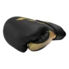 Adidas Cactus Speed Tilt 350 Pro Boxing Gloves on a white background
