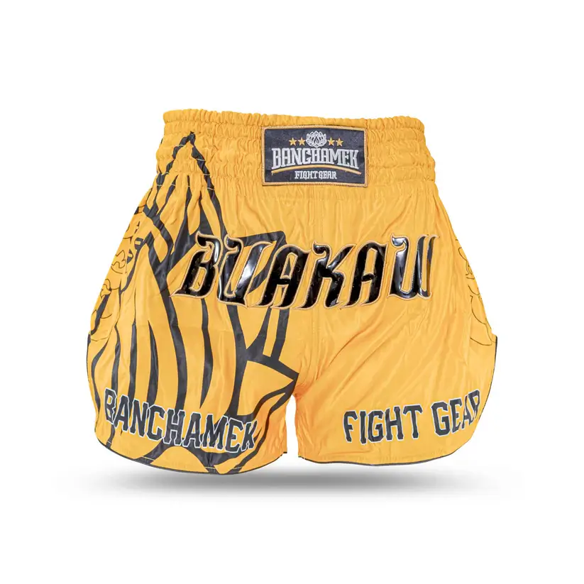Buakaw Muay Thai Shorts BSH6 on a white background.