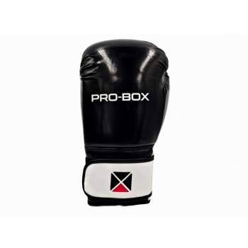 Pro-Box Club Junior Boxing Gloves placed on a white background