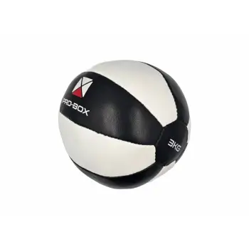 Selection of Pro-Box Leather Medicine Balls