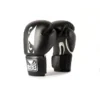 Bad Boy Titan Boxing Gloves for Boxing and Fitness Training Bad Boy Titan Boxing Gloves showcasing brand and design