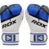 RDX F7 Ego Boxing Gloves in Neutral Position